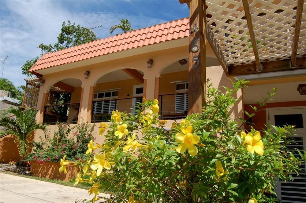Villa Coral Guesthouse Vieques Extérieur photo