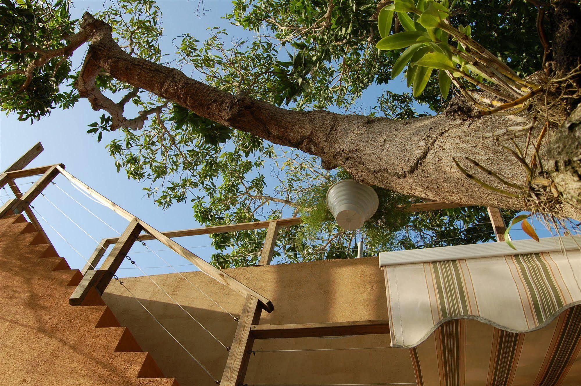Villa Coral Guesthouse Vieques Extérieur photo